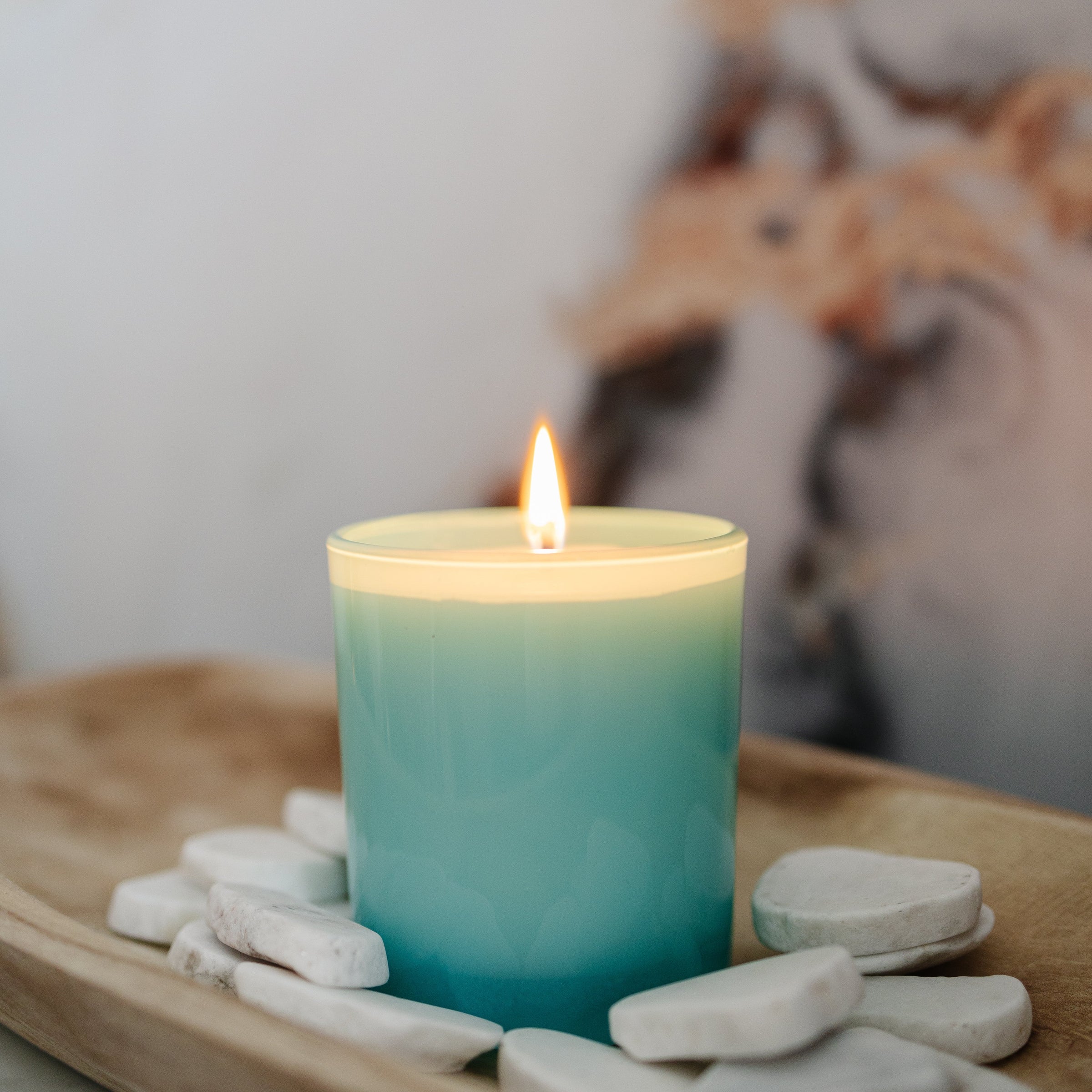Lotus Cove Classic Candle - Bean Candle Co