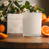 Apricot Vetiver Classic Candle